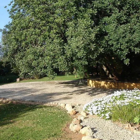 A Near The * Pêra