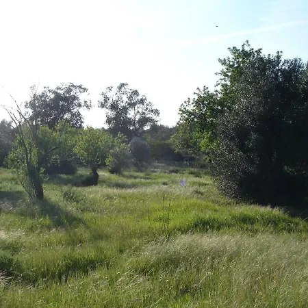 A Near The Nyaraló