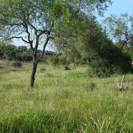 A Near The Ferienhaus *