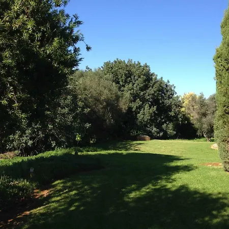 A Near The Holiday home Pera